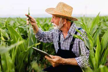 Top 3 Qualities of a Successful Farm Manager