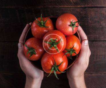 Polyculture Farming and Digital Agriculture Systems